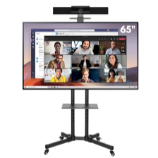 Video conference kit