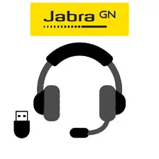 Jabra video conference headset Bluethooth