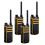Set van 4 Hytera AP525LF