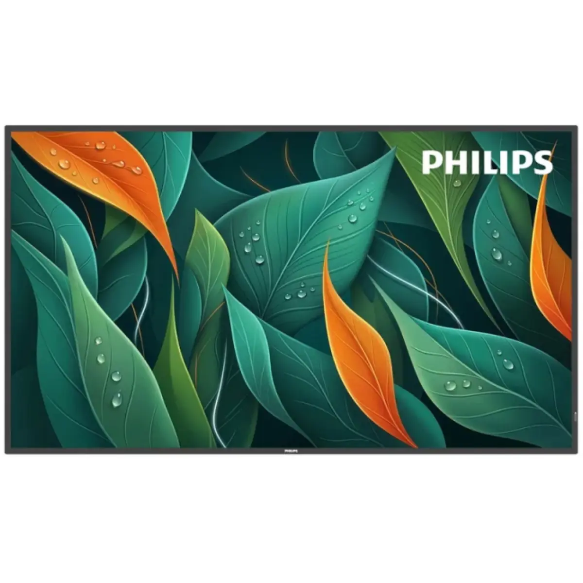 Philips 65BDL4512D detail