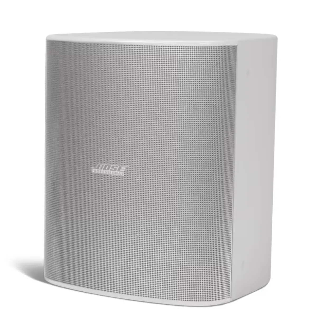 Bose DesignMax DM12SE
