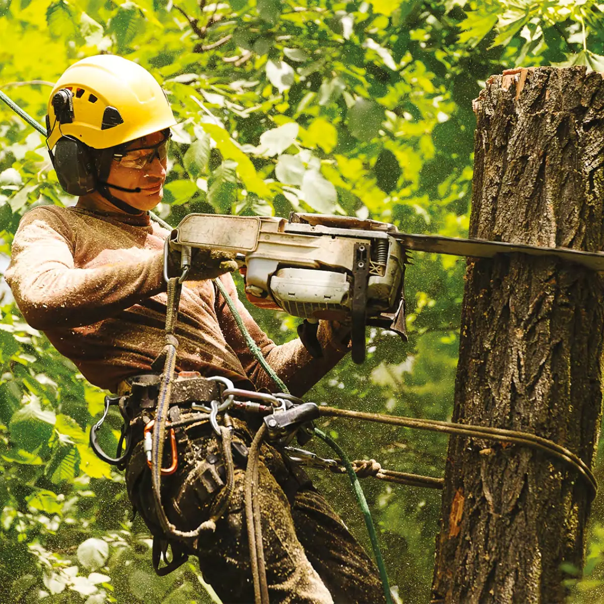 Pack Vokkero Compak 2 Terminals Koffer