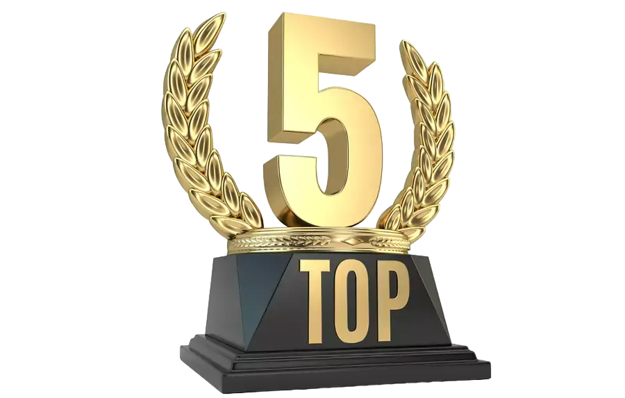 top 5 webcam visio